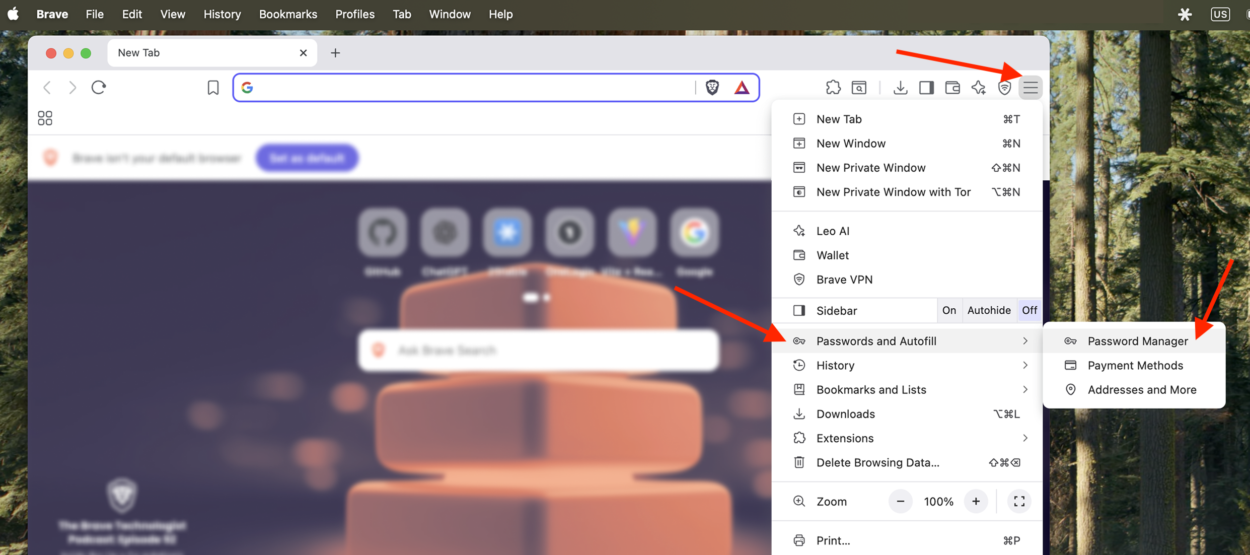 Export brave settings