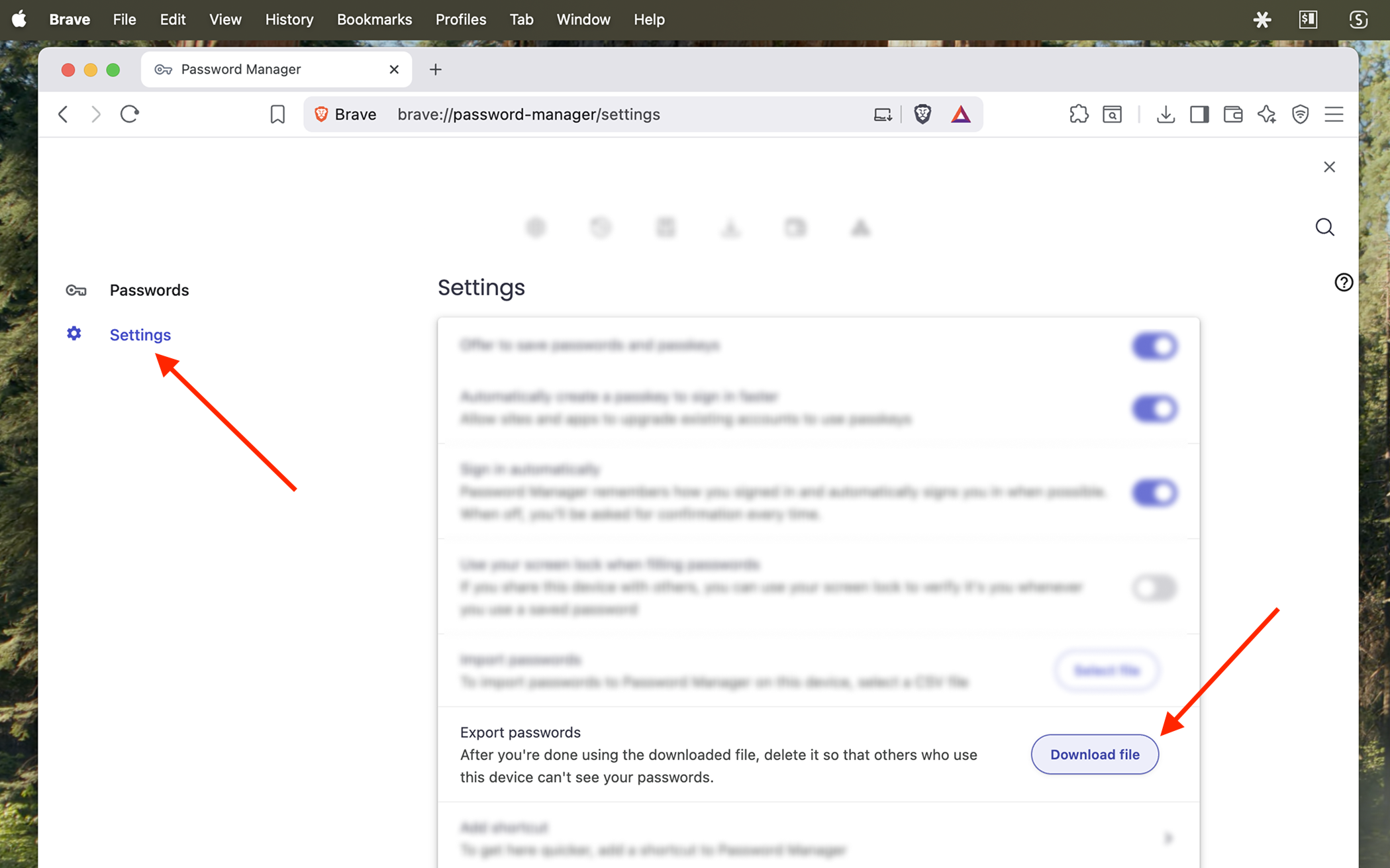 Export brave settings