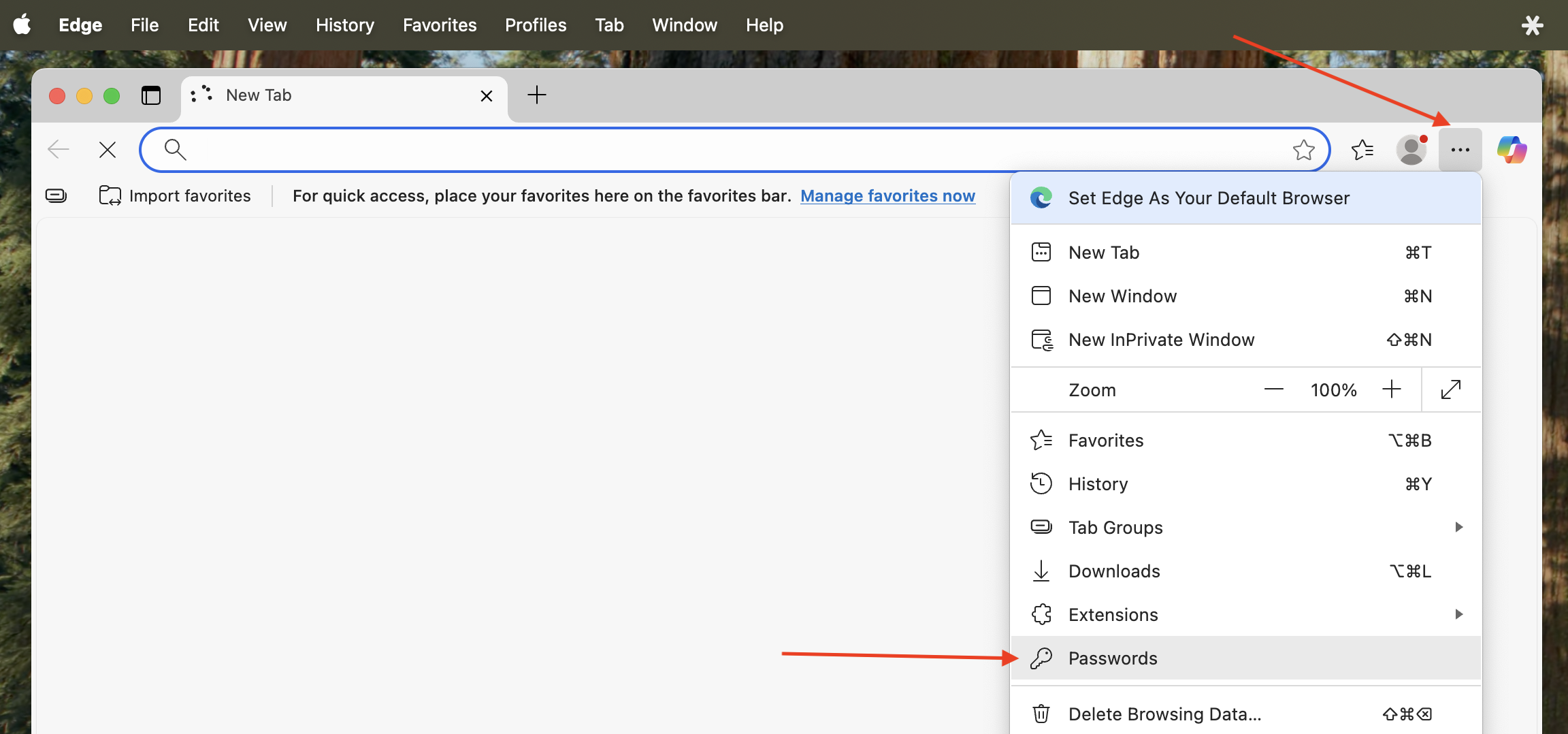 Export brave settings