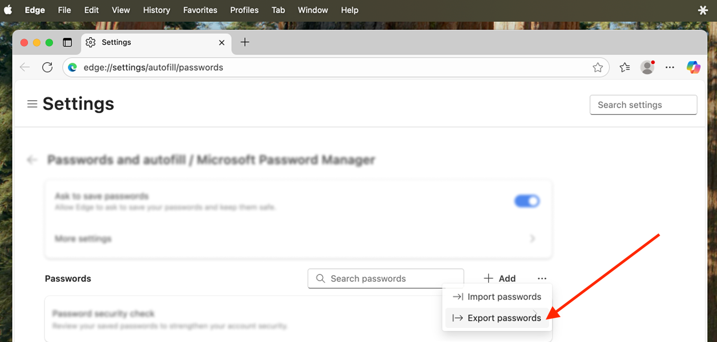 Export brave settings