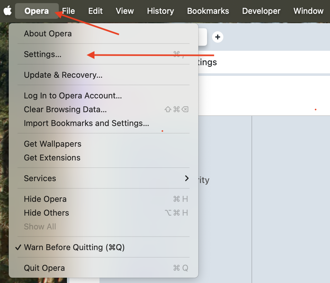 Export Opera settings