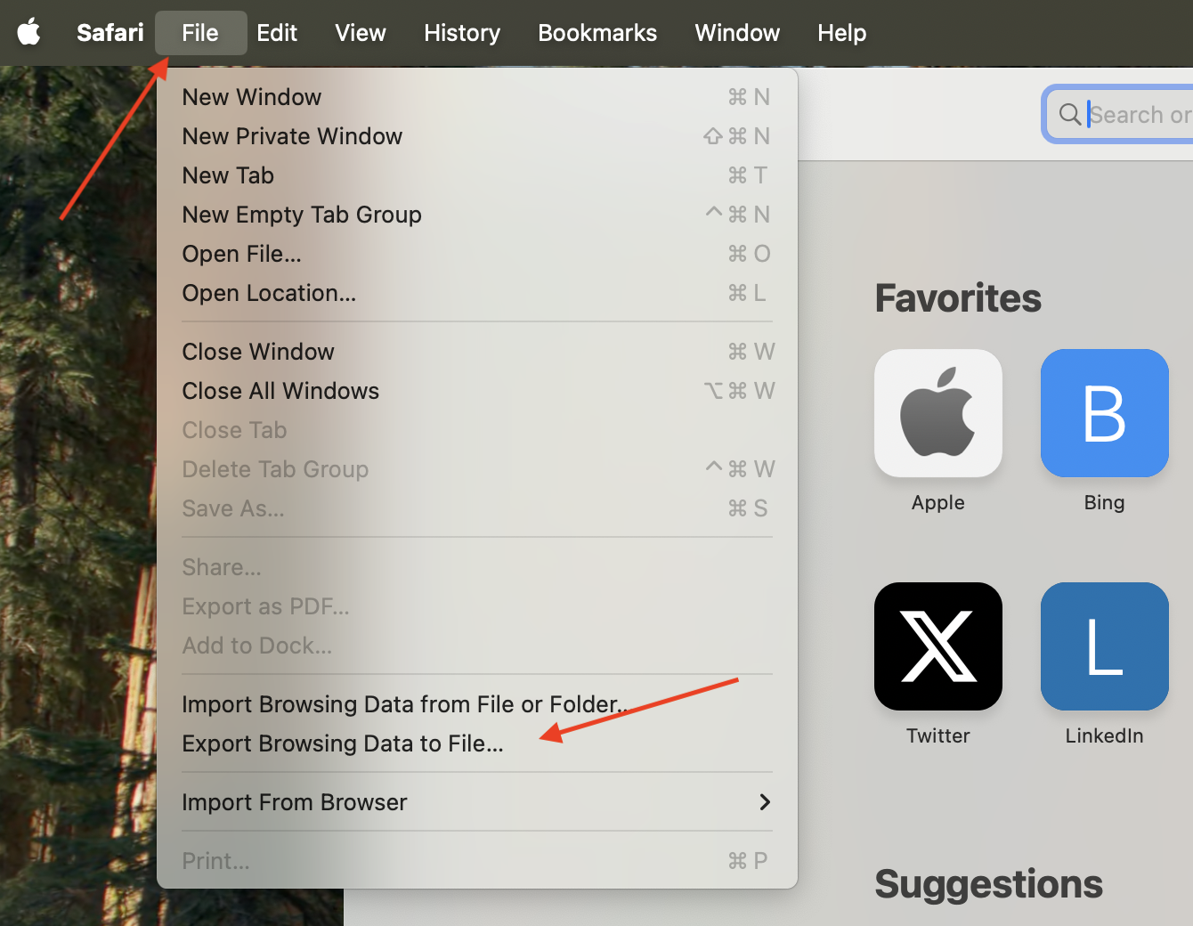 Export Safari settings